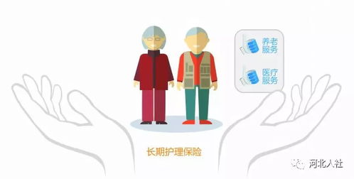 想成為承德長期護理保險居家定點服務機構？這份申報攻略與看護服務指南請收好