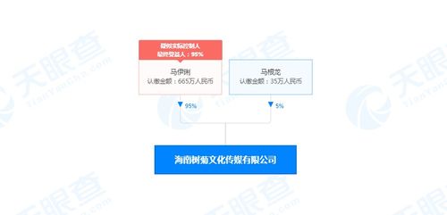 馬伊琍海南布局文化新賽道，成立文化傳媒公司拓展演出經紀版圖